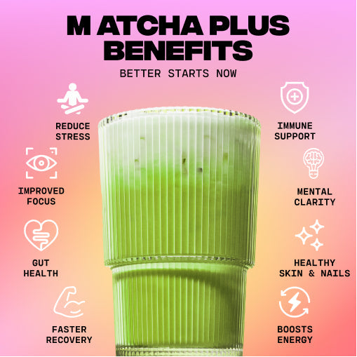 Matcha+ Starter Kit (30 Servings) - Simple Matcha Ready